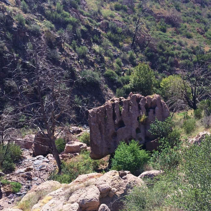 Near McFarland Canyon Out-and-Back