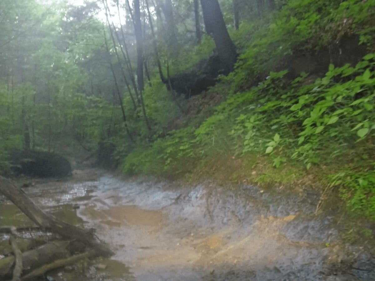 Wrongturn Hill photo 5