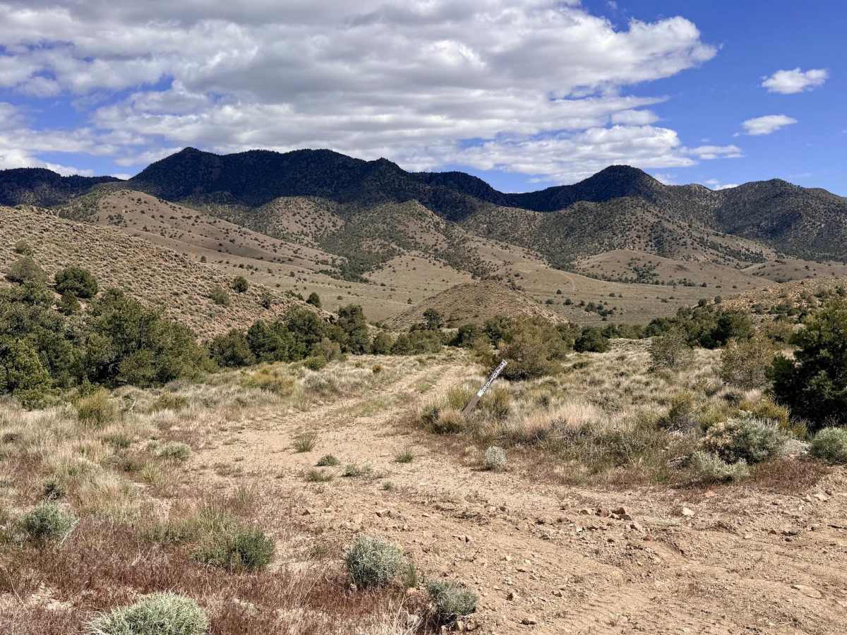  Four Mile Spring- FS 44018B trail photo