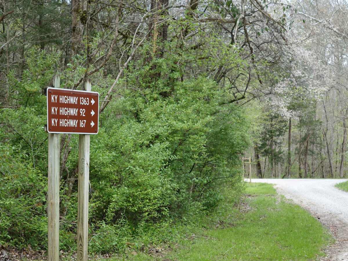 Rock Creek Road photo 3