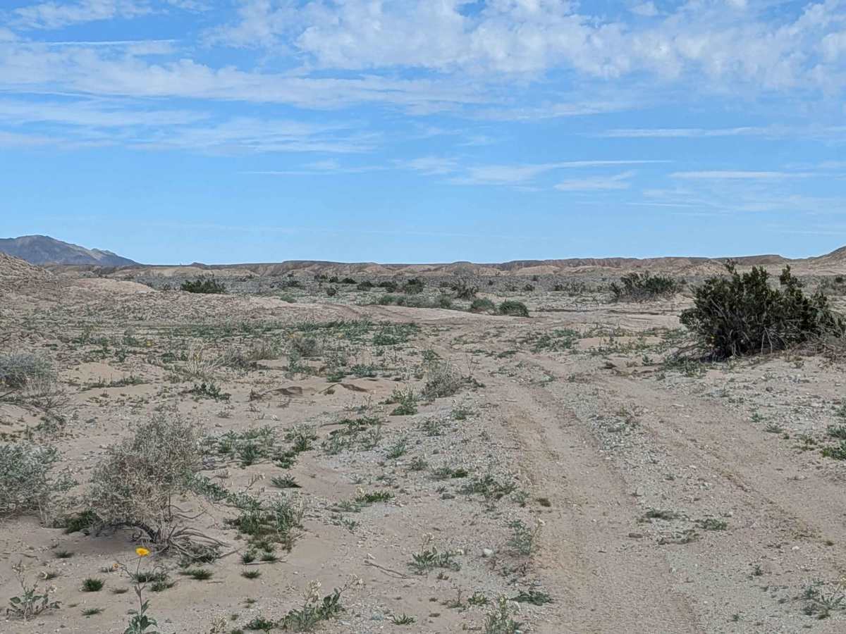 BLM 063 photo 2