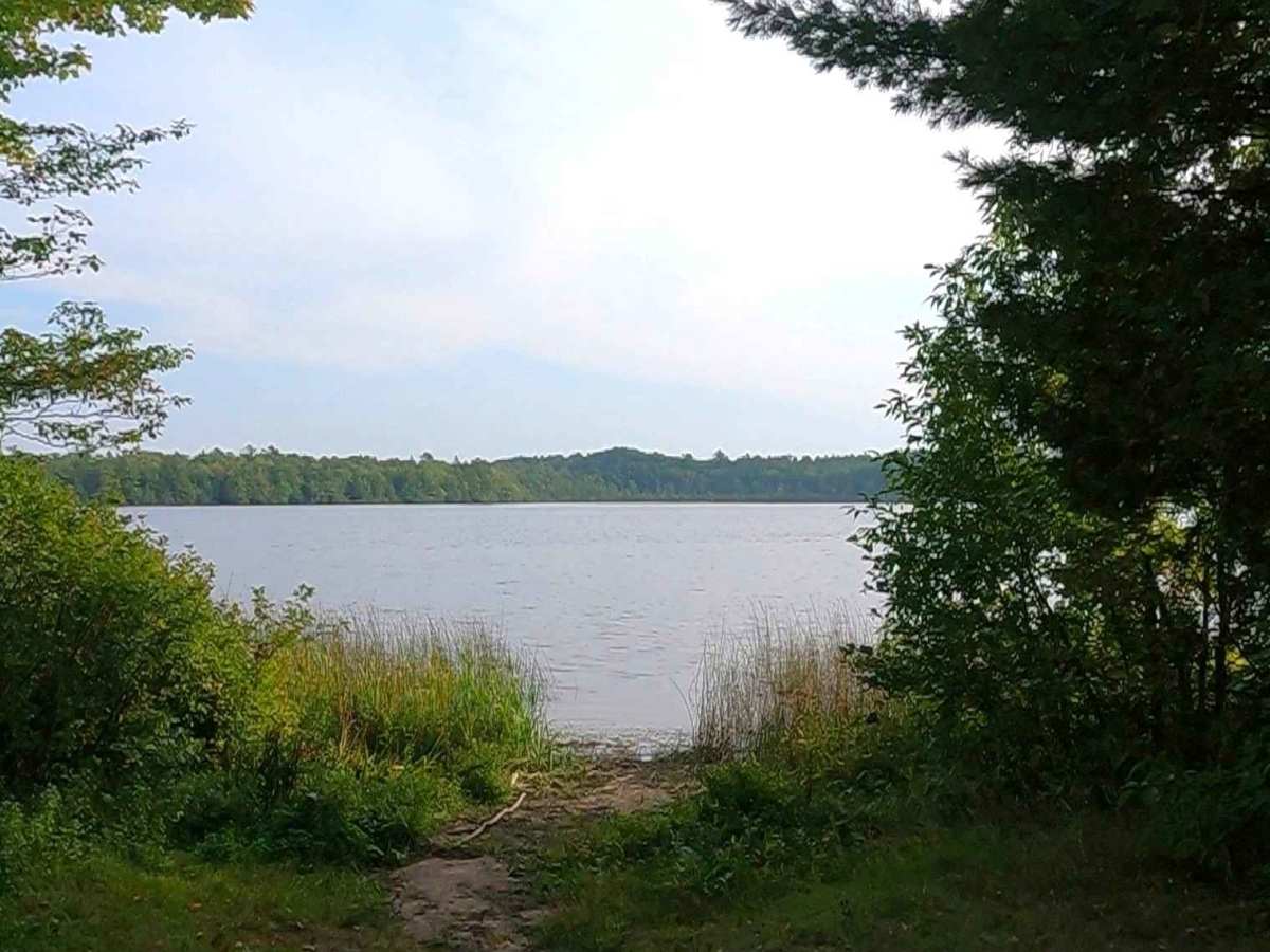 Boedne Bay Road - FS 3453 photo 2