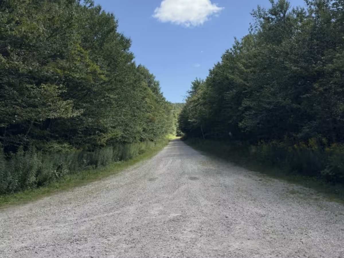 Branch Pond Trail photo 5