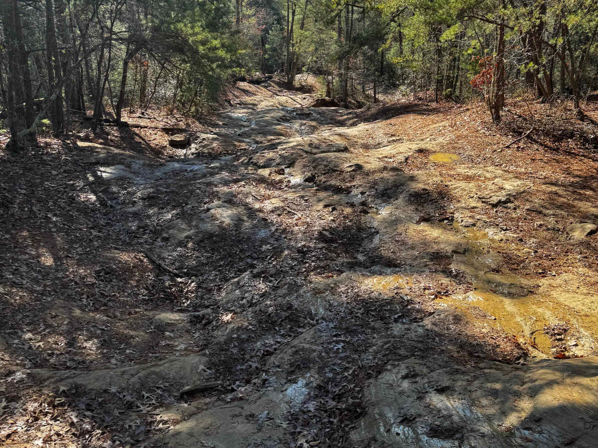 Boneyard Trail 1 - Holiday Hill Gatekeeper photo 5