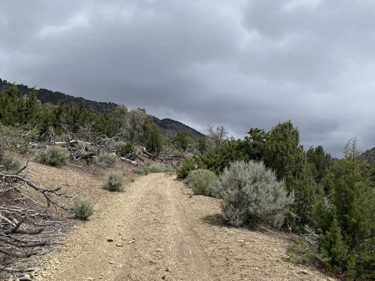 Stillwater Range photo 5