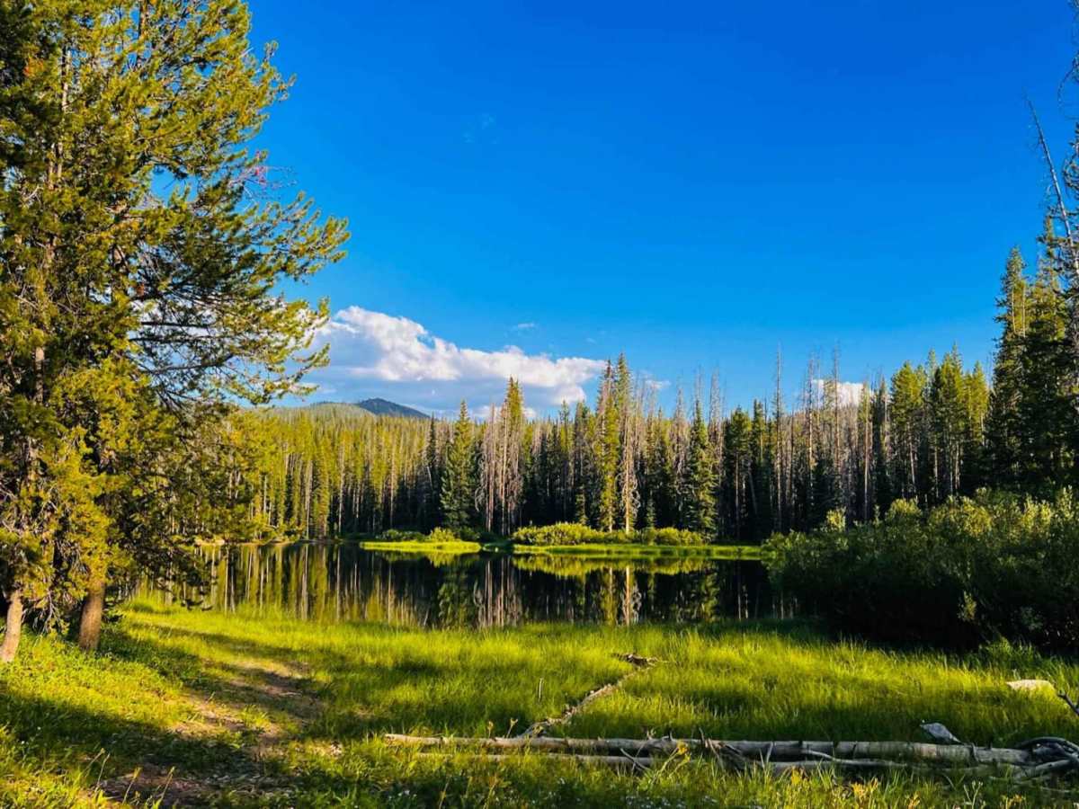 Bull Trout Lake photo 6