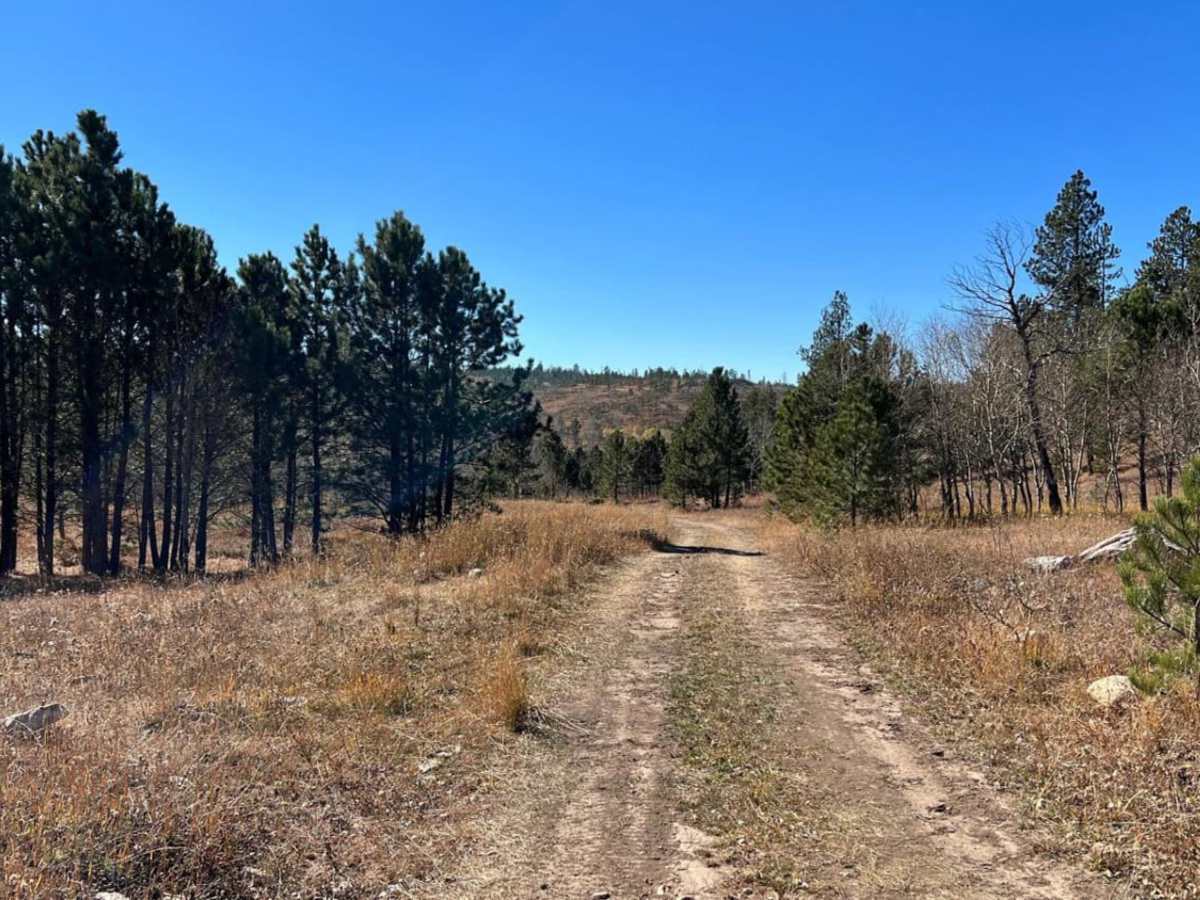 Ditch Creek Br & Long Canyon trail photo