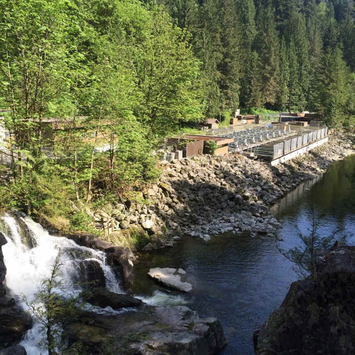 Near Pipeline Trail