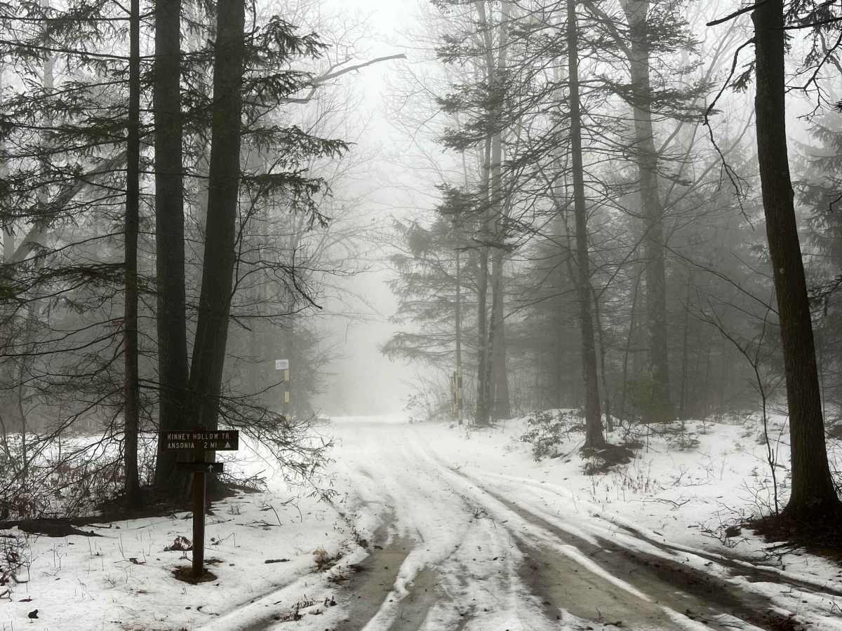 Kinney Hollow Trail trail photo