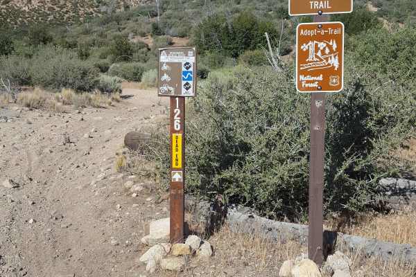 Yellowjacket OHV Trail - FS 20W24