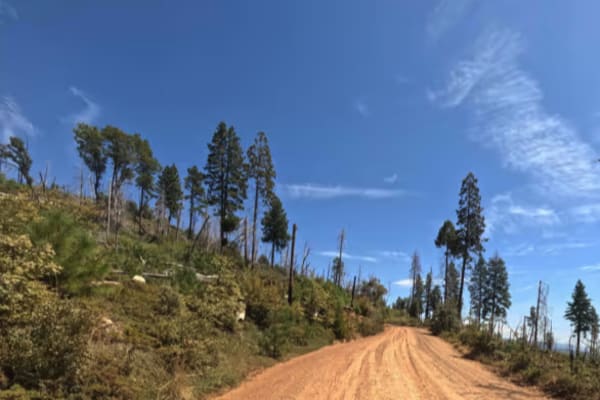 Miami Mountain Road - FS 6S014