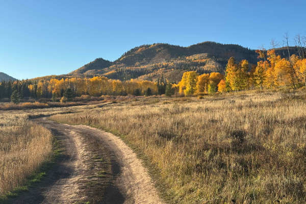 Deep Creek Road