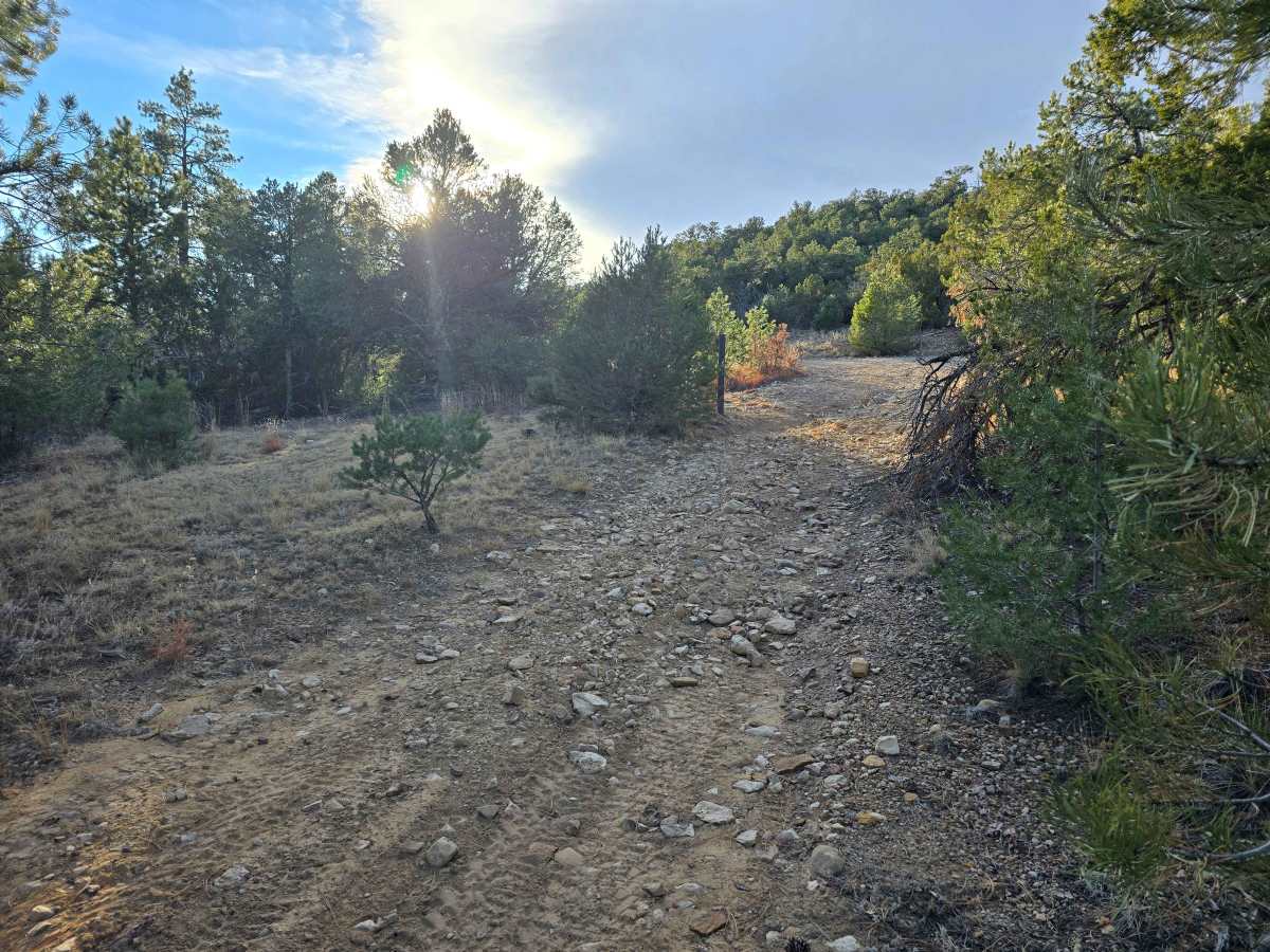 Seep Springs - BLM Route 5830 photo 3