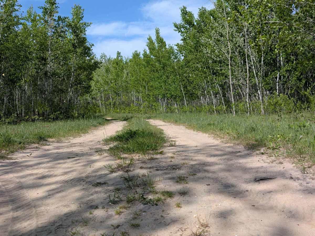 Trophy Acres Hunters Trail photo 2