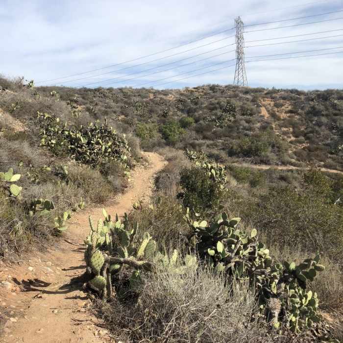Near James Dilley Preserve Combo