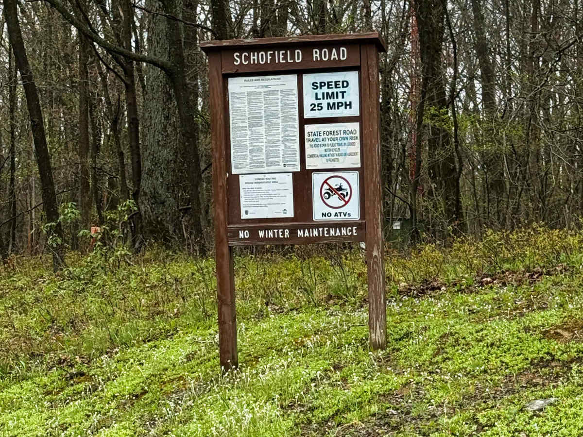 Schofield Road trail photo