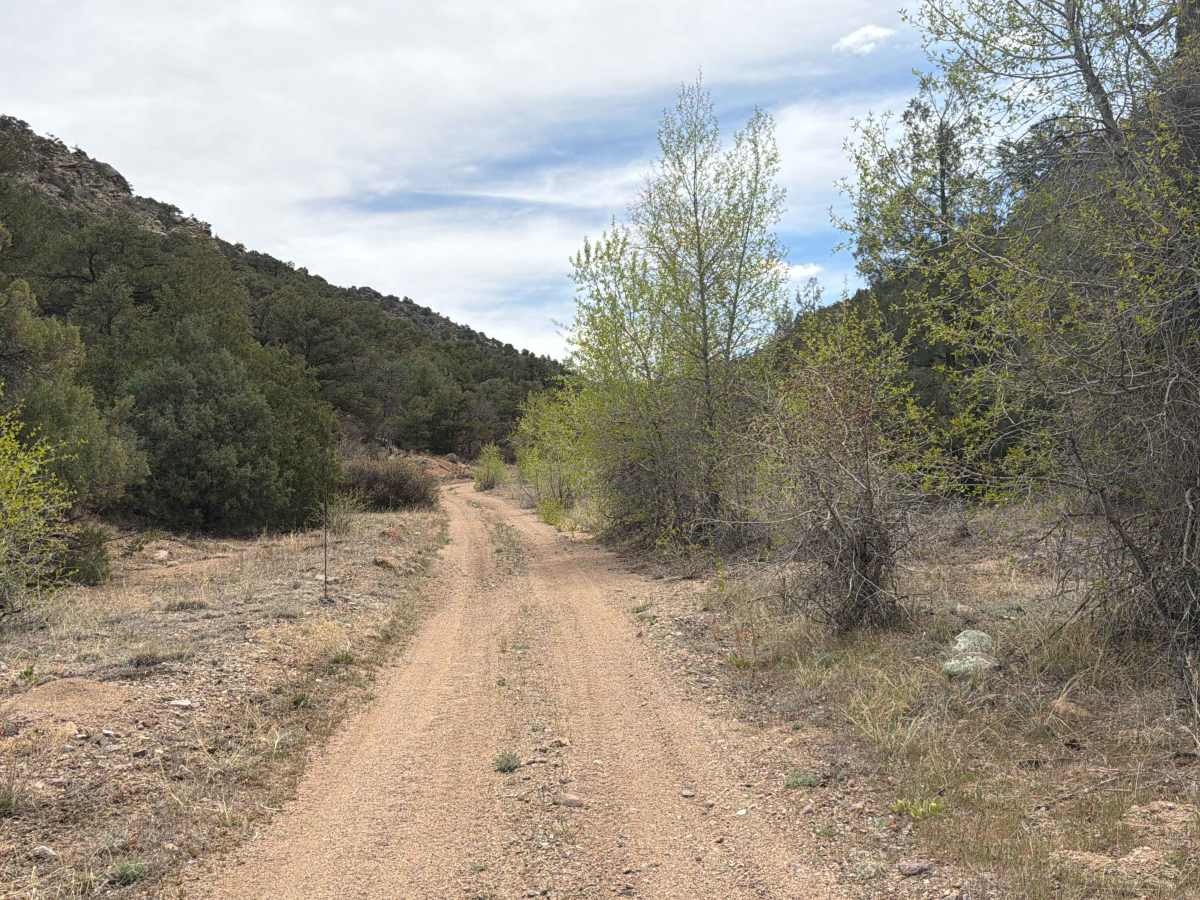 BLM 6195 photo 5