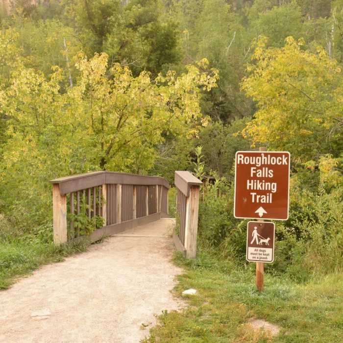Near Roughlock Falls Trail Near Roughlock Falls Trail