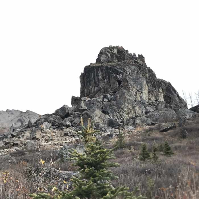 Near Savage Alpine Trail