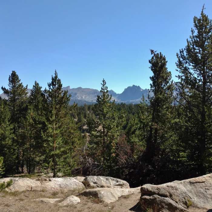 Near Scab Creek Trail #7110