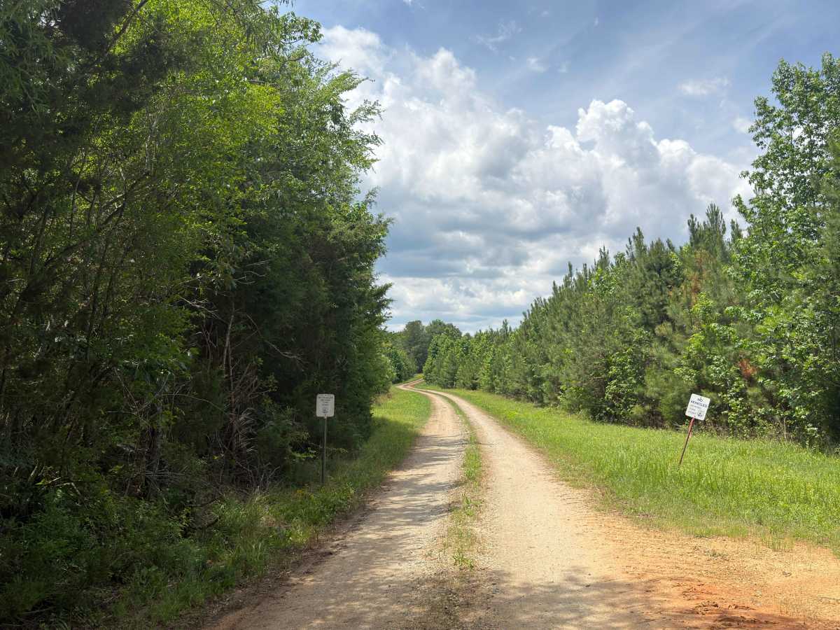 Stutts Redfield Road trail photo