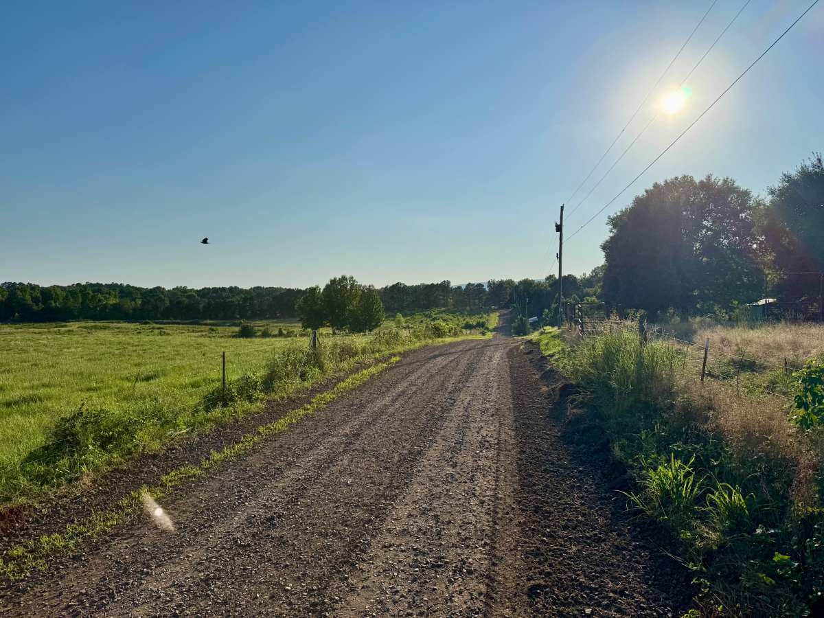 County Road 4200 photo 2