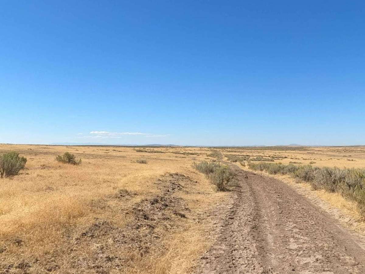 Iron Point Road photo 3