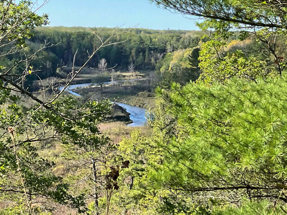 Pine River Corridor photo 4