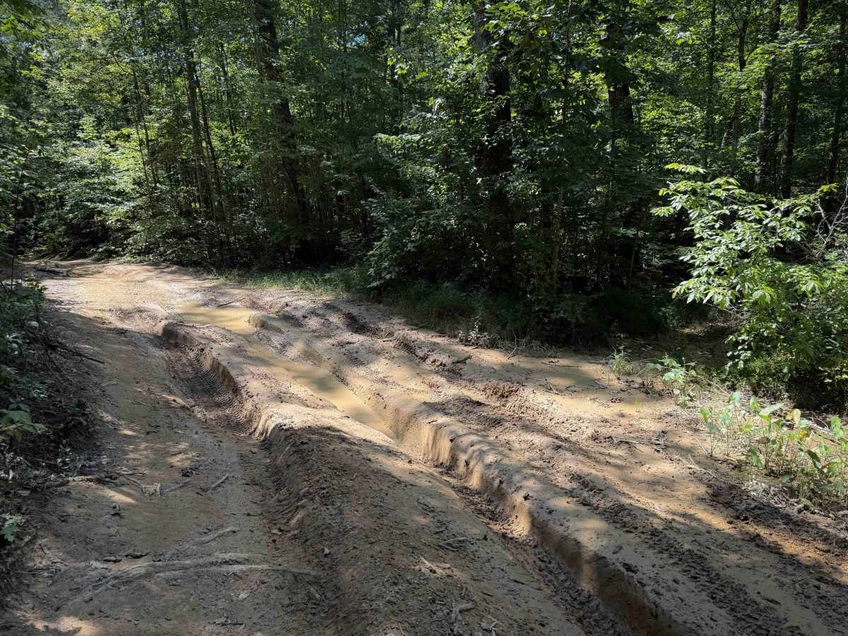 Tram Branch Trail photo 4