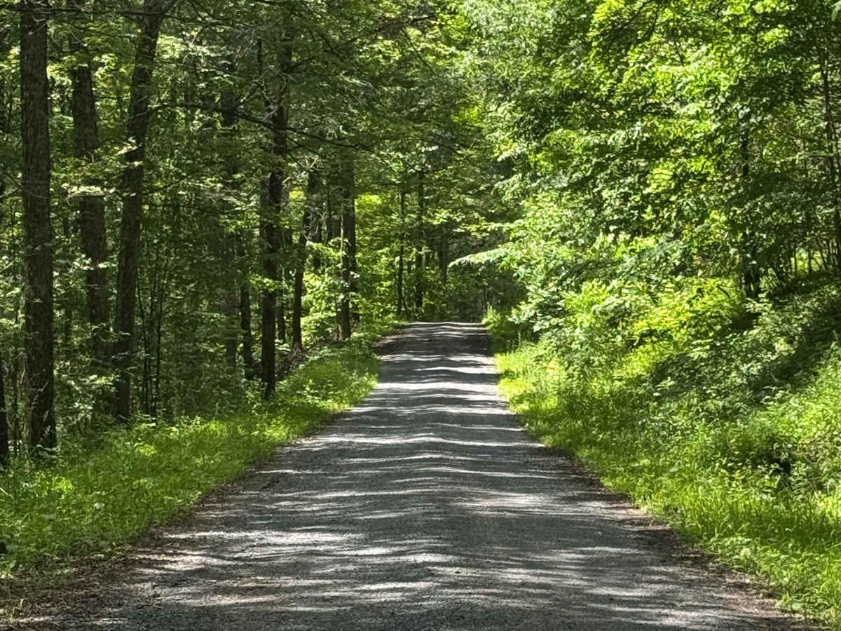 Long Toe Road photo 5