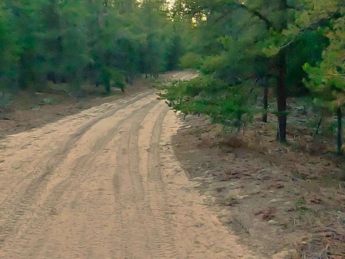 W Wilderness Road photo 5