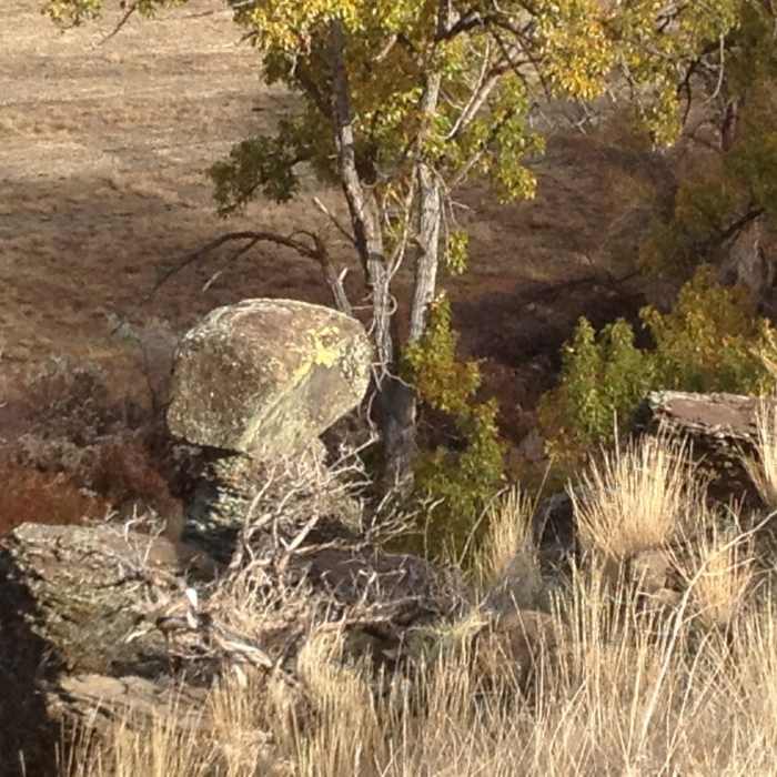Near Wildflower Loop Route