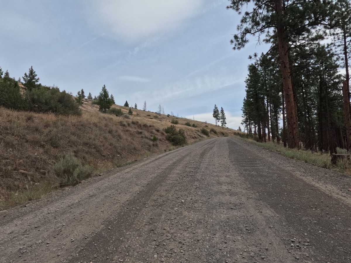 Montgomery - FS 6400 trail photo