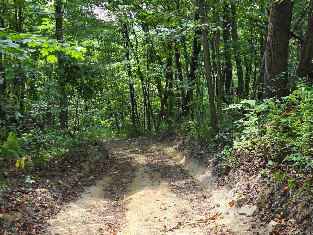 Trail 53 photo 3