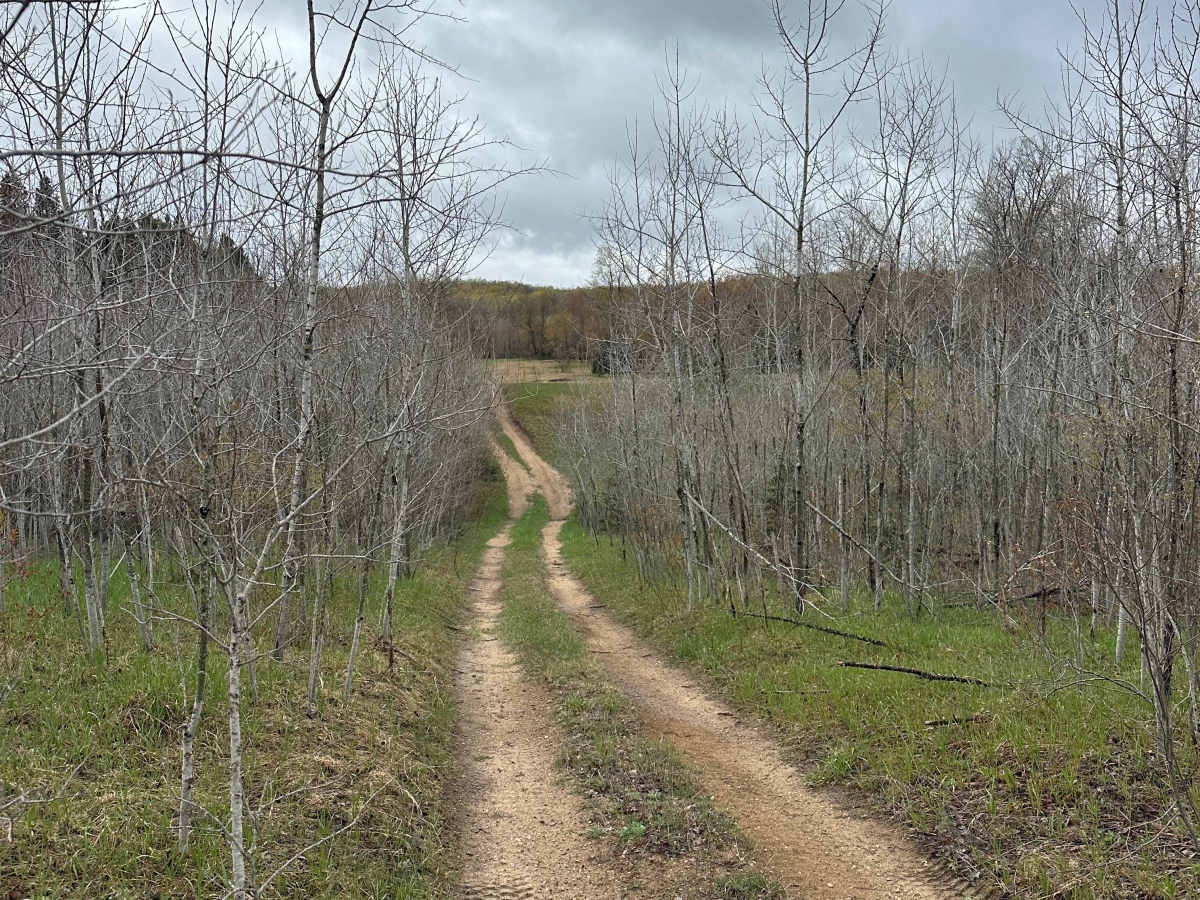 Post Road Cutover photo 2
