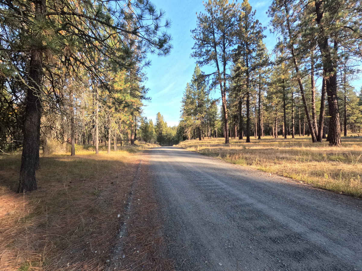 Bear Creek Road photo 6