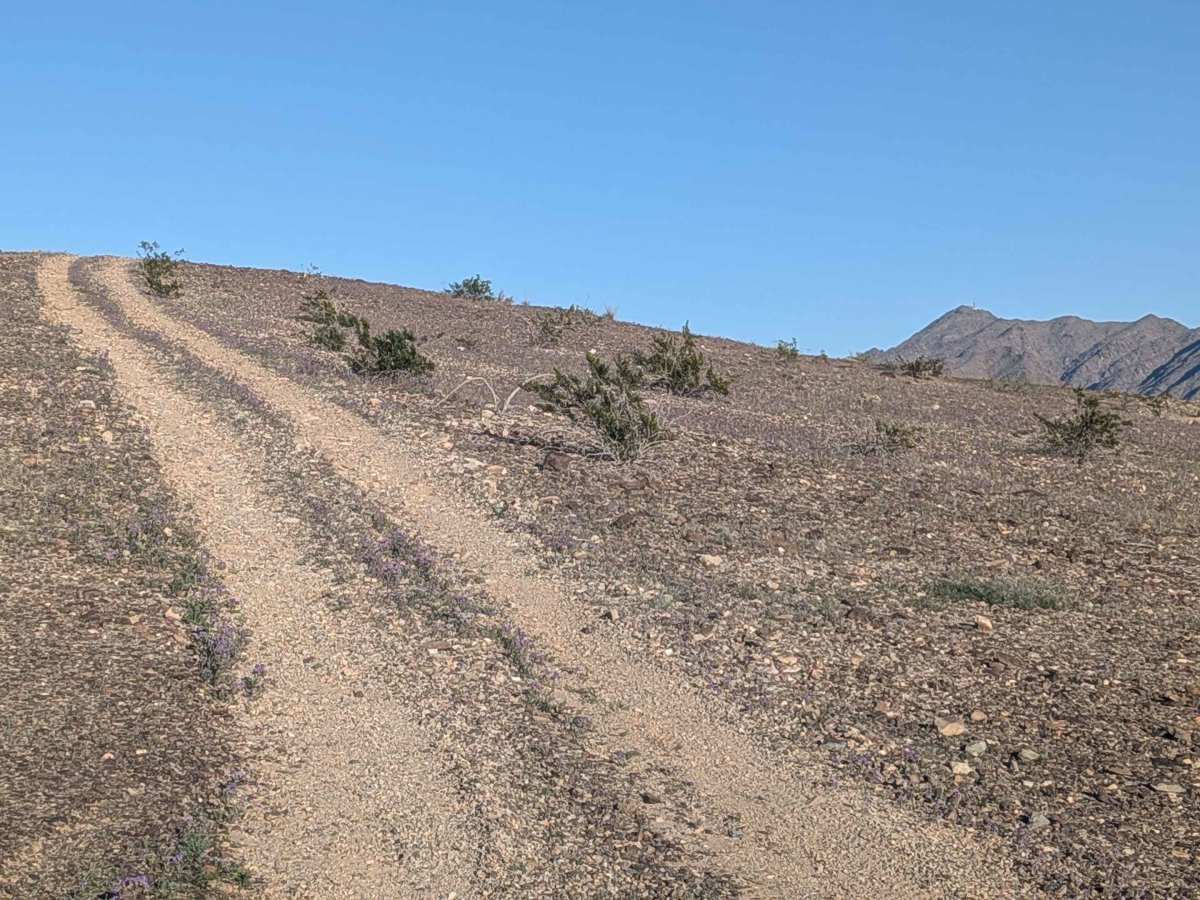 EC1245 trail photo