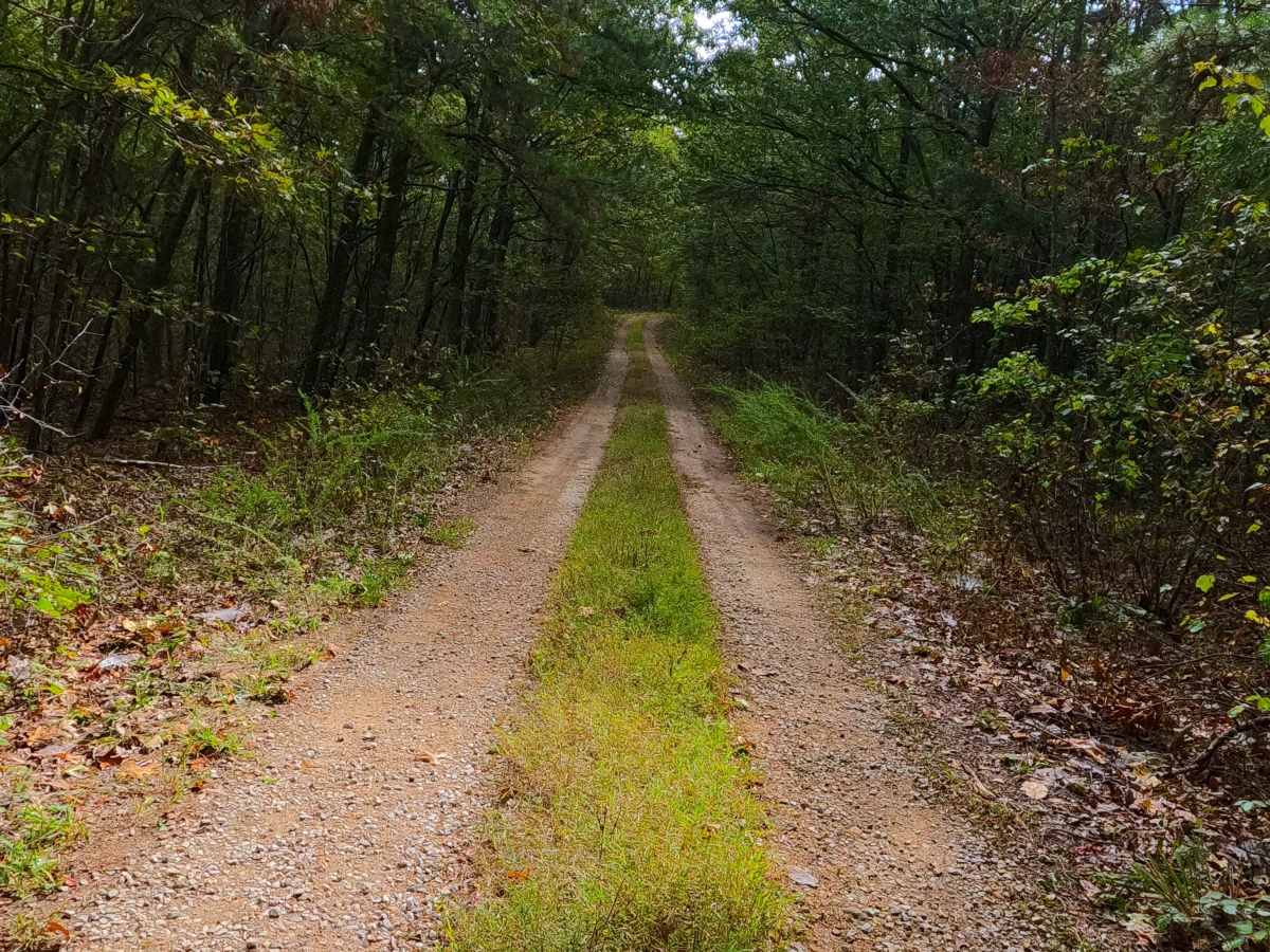Coon Hollow - FS 2482 photo 3