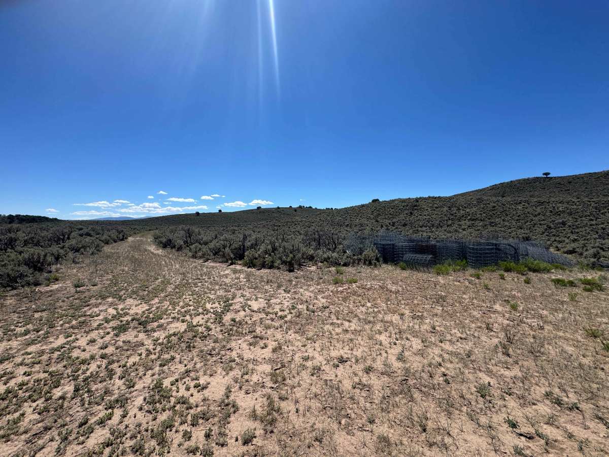 BLM 8477C photo 2