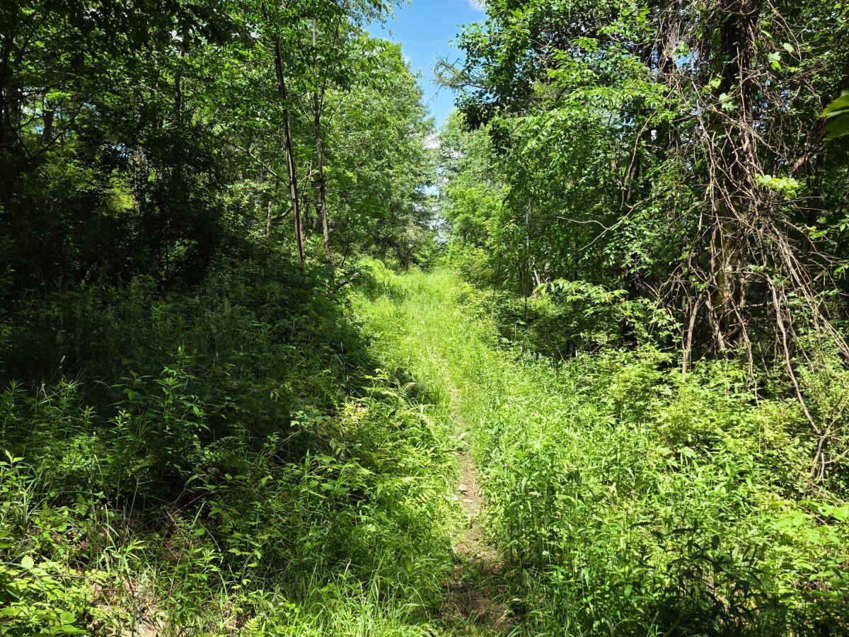 Single Track AC photo 6