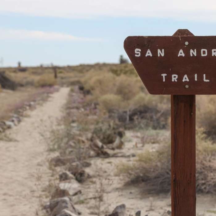 Near San Andreas Trail