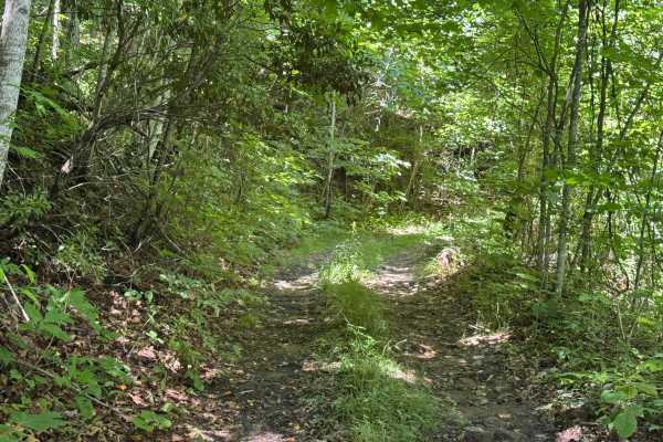 Piney Mountain Flats - FS 4666 (Rough Butt)