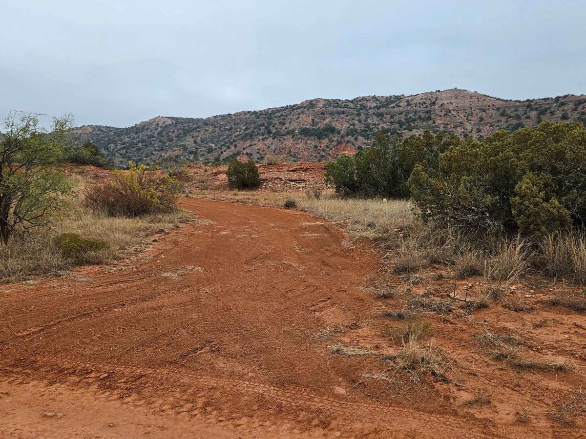 Spicy trail photo