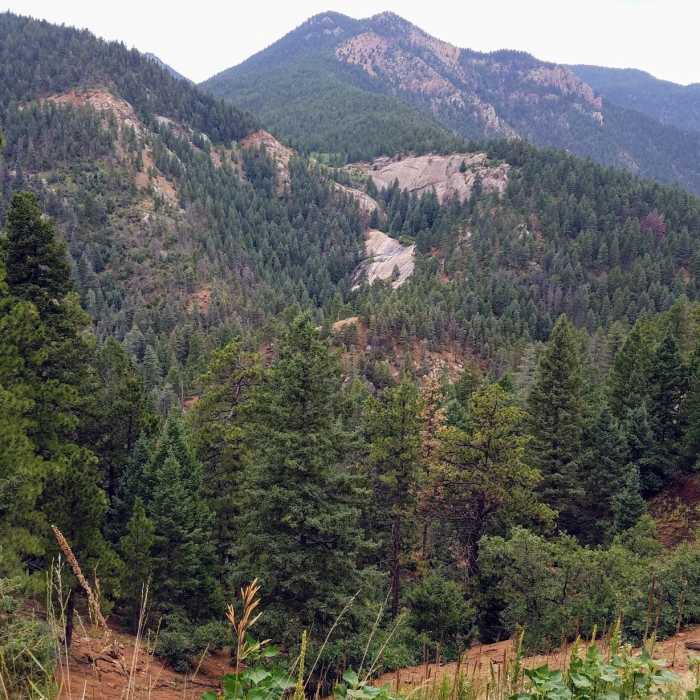 Near Section 16 to Jones Park (and back) Mountain Ramble