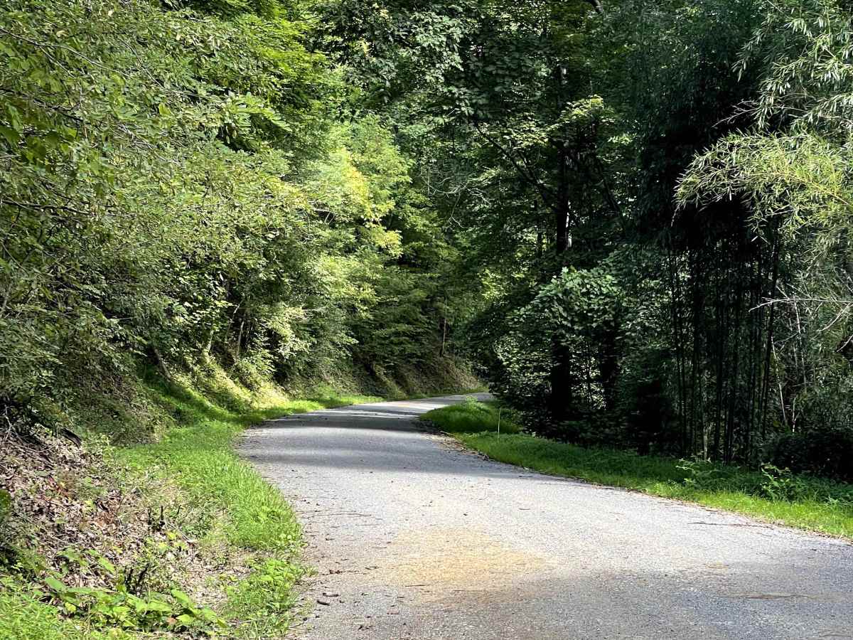 Dagger Springs Road photo 5