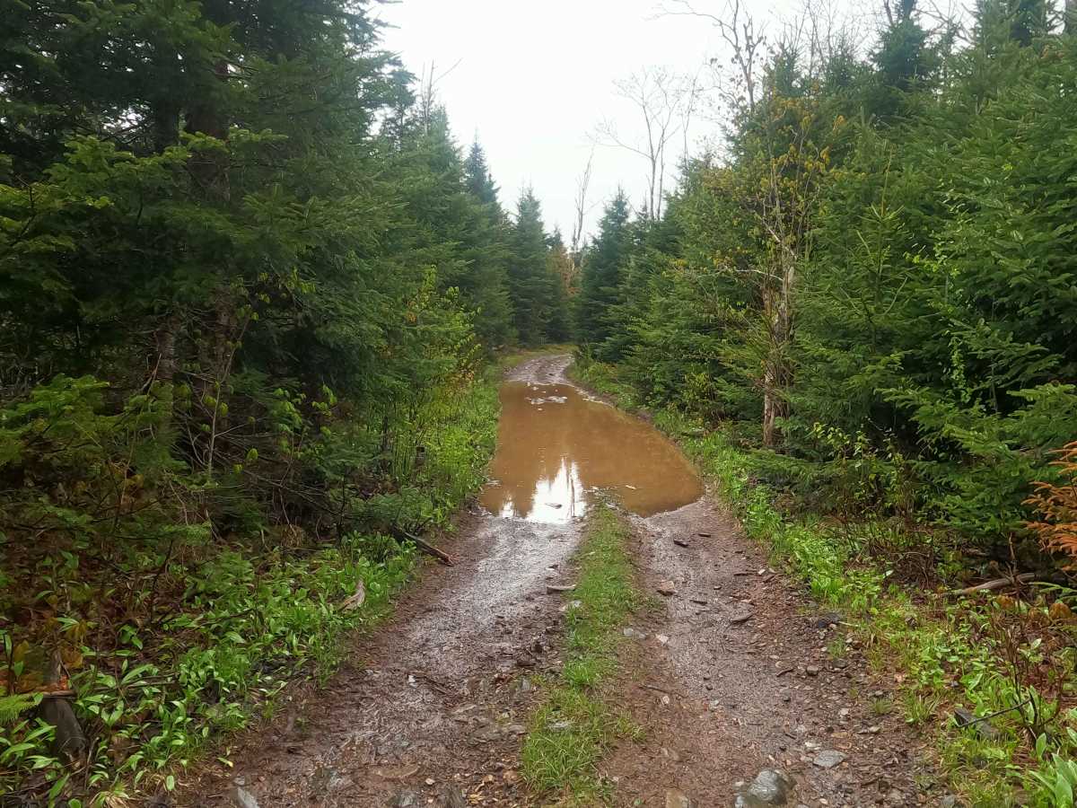 Farm Lake Trail photo 4
