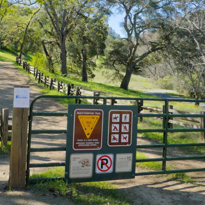 Near Eagle Peak Loop
