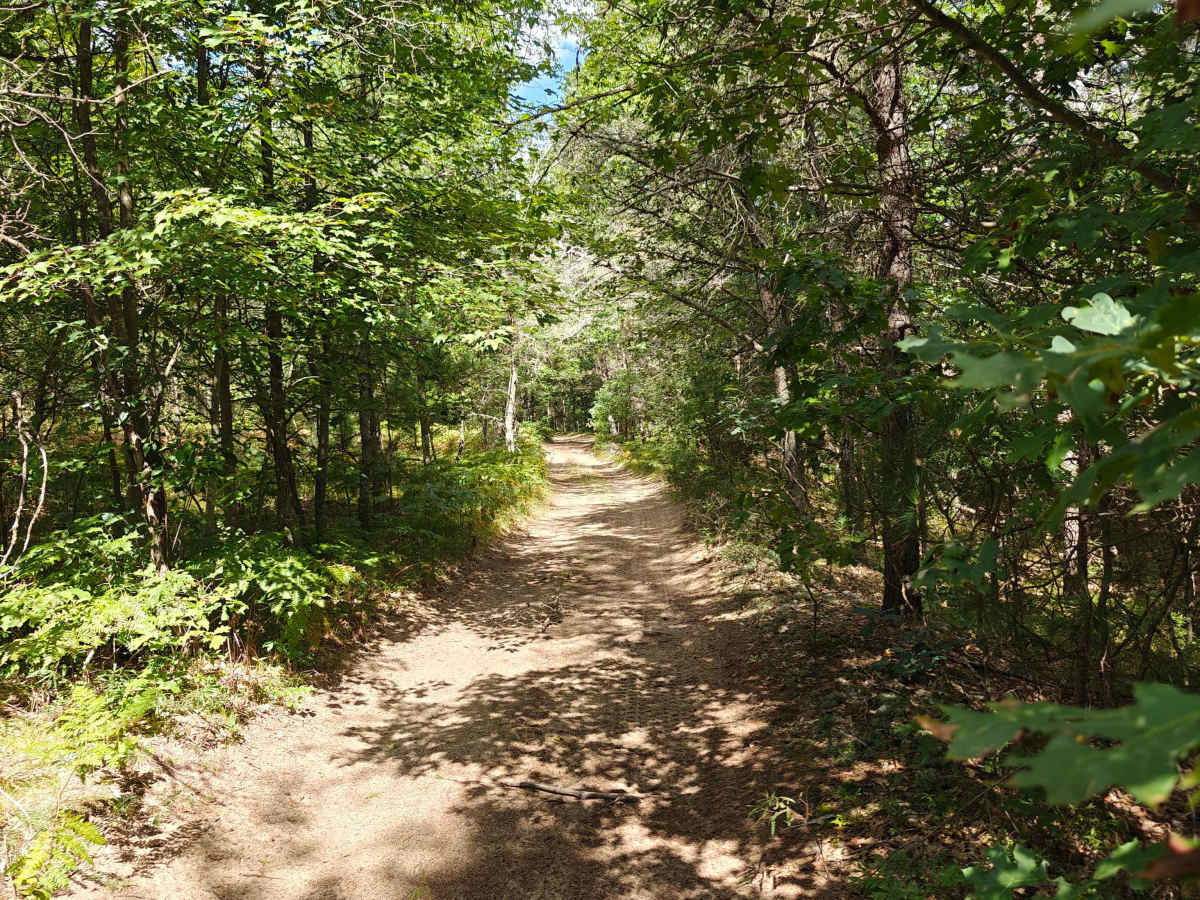 Everett Trail photo 5