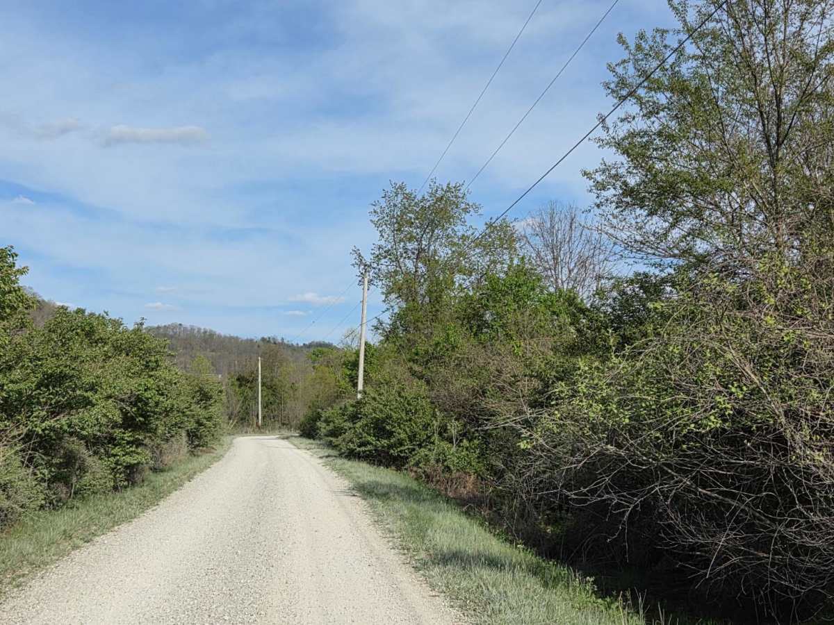 Bowen Service Road photo 5