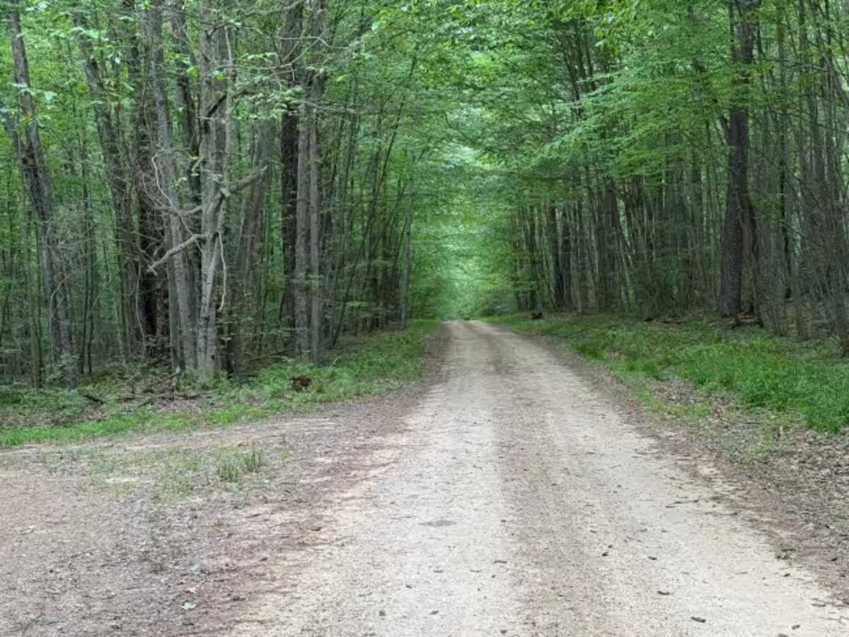 Irwin Run - FS 343 photo 5